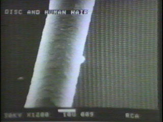 Disc Surface Compared to Human Hair